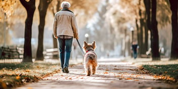 older man walking a dog in a park