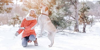 Woman and dog play in the snow